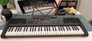 bayan musiqi aləti: Sintezator, İşlənmiş — 3