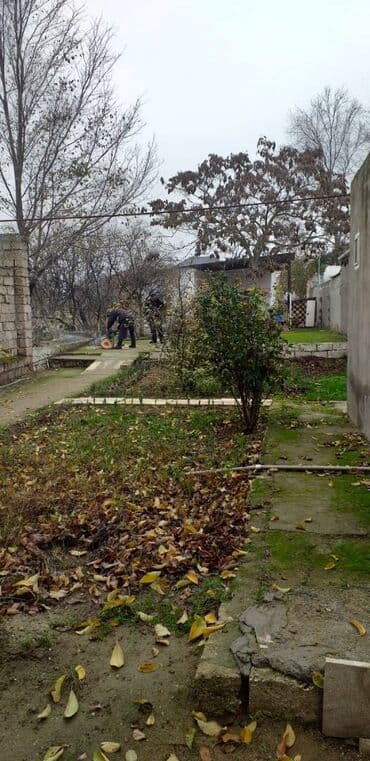 ferma torpaq: 13 sot, Tikinti, Makler, Kupça (Çıxarış) — 5