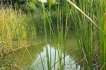 qubada torpag: 237 sot, Kənd təsərrüfatı, Mülkiyyətçi, Kupça (Çıxarış) — 6