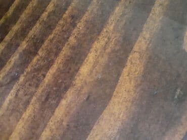 Tədbirlərin təşkili: Услуги клининга — 1