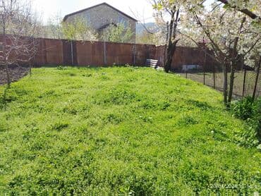 əmlak az ismayıllı: 3 sot, Biznes üçün, Bələdiyyə — 3