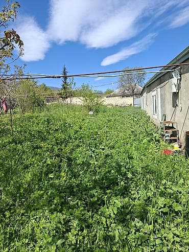 torpaq sekide: 10 sot, Kənd təsərrüfatı, Mülkiyyətçi, Bələdiyyə — 5