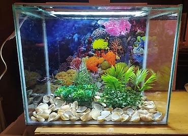 akvarum baliqlari: Dördbucaq akvarium, 40 l, Pulsuz çatdırılma — 3