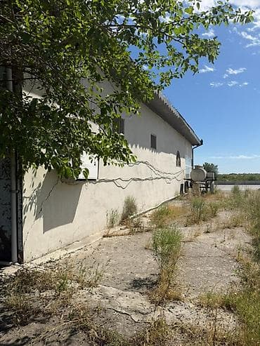 дача с бассейном аренда баку: Bakı-Qazax magistralında TƏCİLİ! Sənədli, yol kənarı 286 m² universal — 7