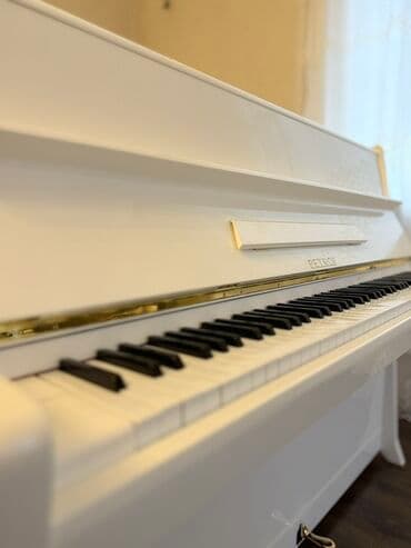 Пианино: Пианино, Petrof, Акустический, Новый, Бесплатная доставка — 3
