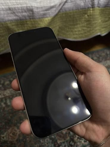 iphone 14 plata: IPhone 16 Pro Max, 256 GB, Ağ — 4
