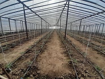 gence ucuz evler: 26 sot, Kənd təsərrüfatı, Mülkiyyətçi, Kupça (Çıxarış) — 7