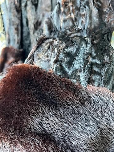 usta geyimi: Çox az geyinilmiş, tam təbii dəri kürk (şuba) satılır. Məhsulun — 2