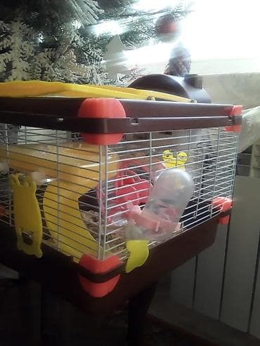 siçan telesi: Xan­da­nar/siçan/hamster üçün tam dəst qəfəs. Xüsusiyyətlər: - Metall — 6