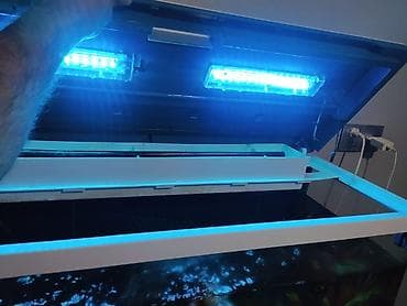 Digər heyvanlar: Akvaryum dəsti – şkaflı, işıqlı - Geniş şüşə akvaryum, üst qapaqlı — 2