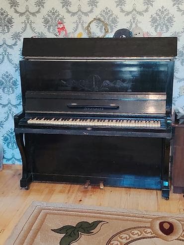 губной инструмент: Пианино, Беларусь, Акустический — 1