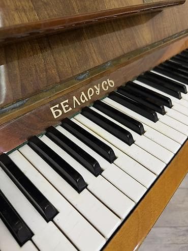 dynacord 2: Piano, Belarus, Akustik, Rayonlara çatdırılma, Ödənişli çatdırılma, Ünvandan götürmə — 3