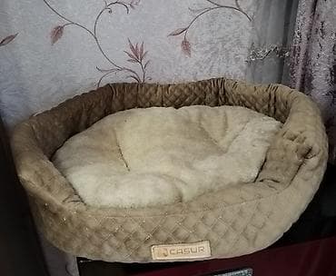 pisik esyalari: Məhsul: Pişik üçün yataq və dırmaşma/cızma dirəyi dəsti Təsvir: - — 1