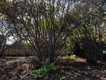 земельные участки на продажу: 13 соток, Для строительства, Собственник, Купчая — 2