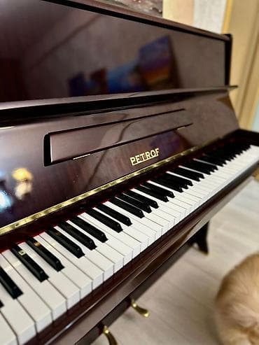 Piano, Petrof, Akustik, İşlənmiş — 5