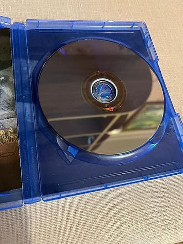 rdr 2 disk: Rol oyunu — 4