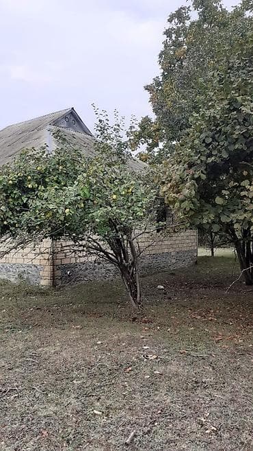 tap az sumqayit: 🏡 TƏCİLİ! QƏBƏLƏDƏ PRESTİJLİ ƏRAZİDƏ 64 SOT TORPAQ SATILIR! 📍 Qəbələ — 3