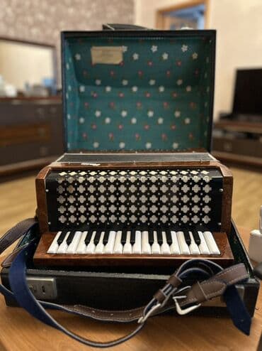 Sintezatorlar: Akustik Akkordeon — 7