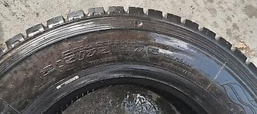 təkər 16 c: Lassa yük/miniven təkəri - Ölçü: 215/75 R17.5 - Növ: Radial, tubeless — 4