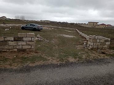 12 sot, Tikinti, Kupça (Çıxarış)