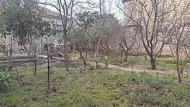 Qarajlar: Tikinti, Mülkiyyətçi — 3