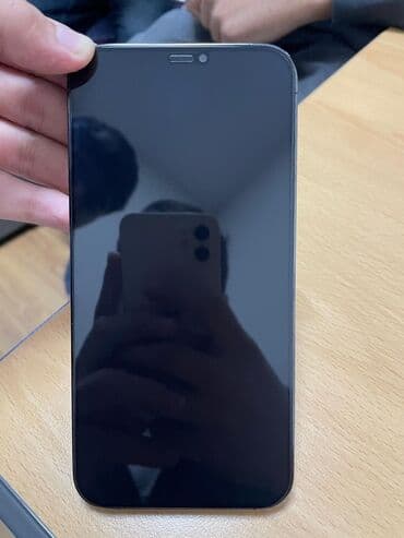 ipad mini 2: IPhone 12 Pro Max, 256 GB, Graphite, Face ID — 2