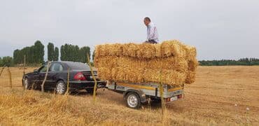 qoşqu lapet: 🔹 Minik avtomobilləri qoşquları və bütün hissələri ▫️2200 AZN-dən — 9