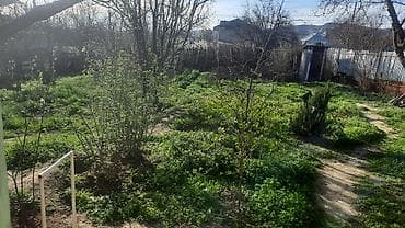 Satılır: həyəti və yaşam sahəsi olan fərdi ev - Geniş yaşıllıqla