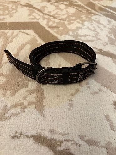 Möhkəm it boyunluğu - Material: qalın, davamlı neylon parça