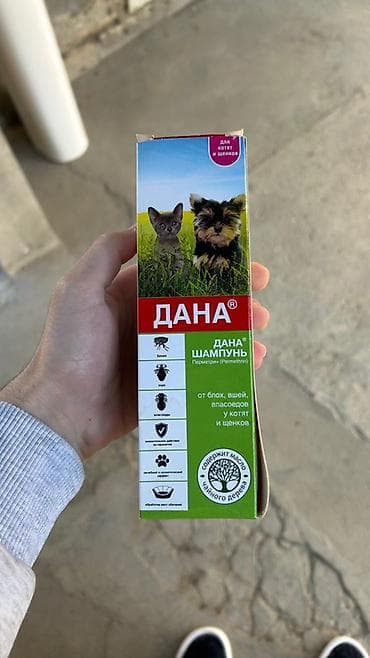 pulsuz pisiy: Britan, Erkək, Ünvandan götürmə — 8