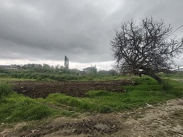 ləhiş bağları torpaq satılır: 10 sot, Biznes üçün, Mülkiyyətçi, Kupça (Çıxarış) — 3