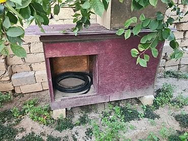 Taxta it evi (küpə) - Material: OSB tipli taxta lövhələrdən yığılmış