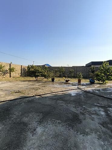 hasar setka: 12 sot torpaq Qala Şüvəlan yolun üzərində Məhsul: Həyət/bağ sahəsi — 3