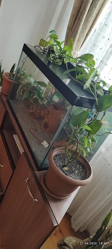 Heyvanlar: Akvaryum dəsti - Şüşə akvaryum, üstü qara qapaqlı korpus - Ön və yan — 3