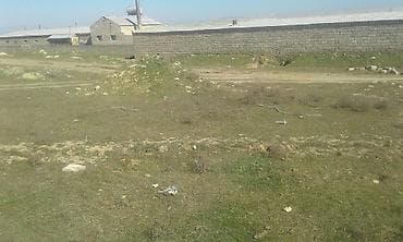 mingecevir satiliq evler: 2 sot, Kənd təsərrüfatı, Mülkiyyətçi, Kupça (Çıxarış) — 5