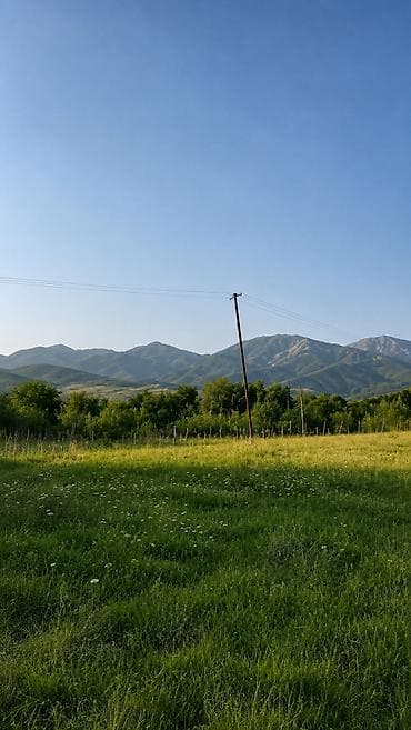 zabratda torpaq satilir: 50 sot, Mülkiyyətçi, Bələdiyyə — 9