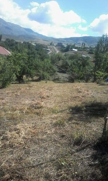 аренда продажа земельных участков: 12 sot, Tikinti, Mülkiyyətçi, Kupça (Çıxarış) — 4