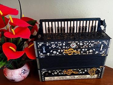 velosipedler ucuz: Qarmon, Akustik — 2