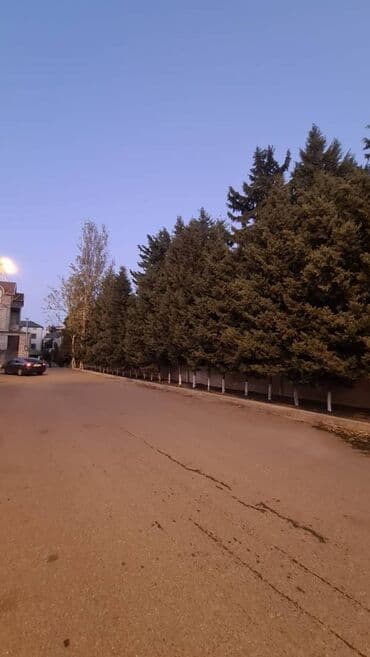 makler gence: 7 otaqlı, 350 kv. m, Yeni təmirli — 26