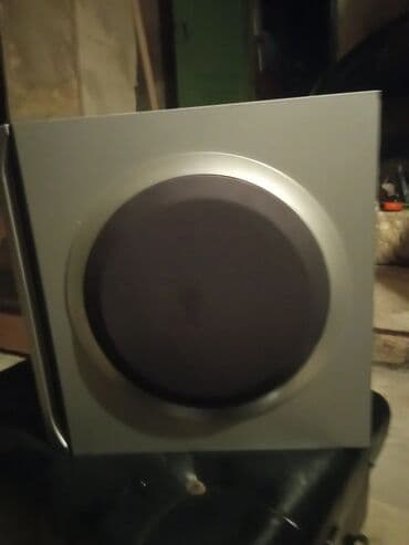 dinamik pioner: Yeni Sony Kolonka, Növ - Sabvufer, rəng - Gümüşü — 2