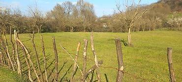 astara rayonu: Tikinti — 6