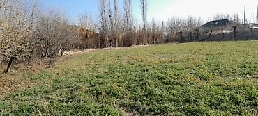 zaqatala qaqarin satilan evler: 3 otaqlı, 126 kv. m, Orta təmir — 8