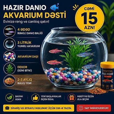 Hazır Danio Akvarium Dəsti Evinizə rəng və canlılıq qatan kompakt