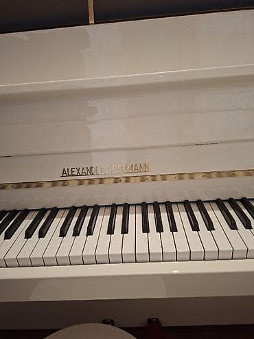 Zərb alətləri: Piano, Akustik, Yeni, Pulsuz çatdırılma — 3