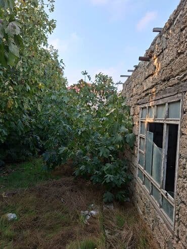 bakı ənciri: 2 sot, Tikinti, Mülkiyyətçi — 3