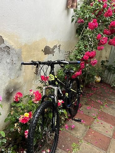 velosiped 27: MTB velosiped – SAFT Liberty - Çərçivə: alüminium, hardtail — 3