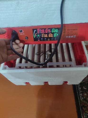 inkubator 2020: Azərbaycan, Fabrik istehsalı, Tam avtomat, Bütün növ quşlaq üçün — 4