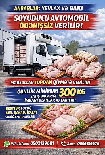 masn: DiQQƏTLƏ OXUYUN ZƏHMƏT OLMASA Broyler toyuqunun satışı ile meşgul — 1