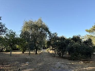 Квартиры: 14 соток, Для строительства, Купчая — 6