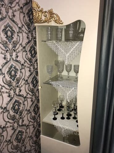 сушильный шкаф бишкек: Qonaq otagi ucun, Kusduk.hec bir problemi yoxdur gelib baxa — 1